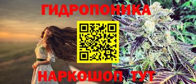ешки Дубна