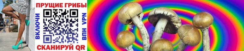 Псилоцибиновые грибы GOLDEN TEACHER  где купить наркоту  Петровск 