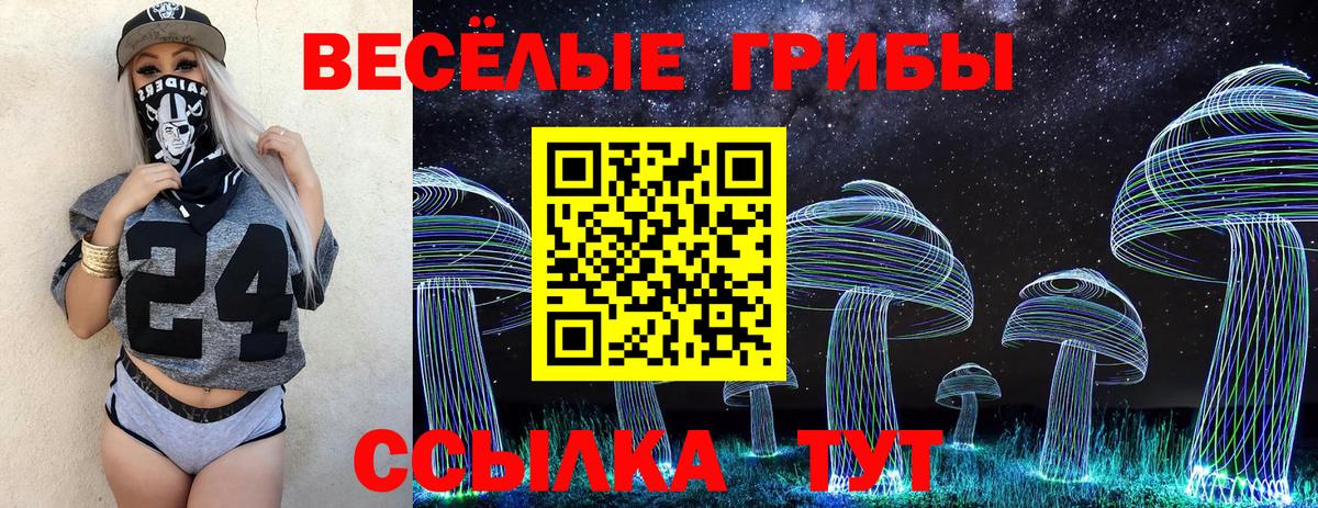 Галлюциногенные грибы Cubensis  Вход с VPN  Петровск 