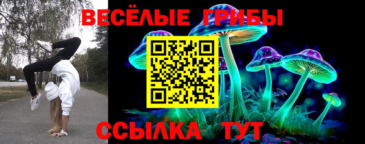 Галлюциногенные грибы MAGIC MUSHROOMS Петровск