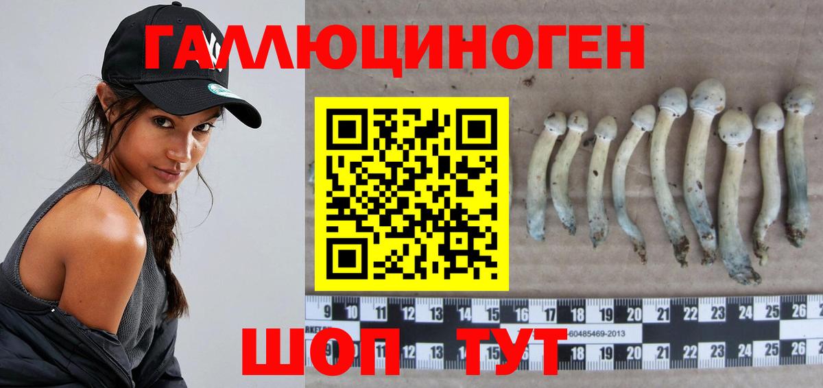 Галлюциногенные грибы ЛСД  Петровск  Галлюциногенные грибы ЛСД 