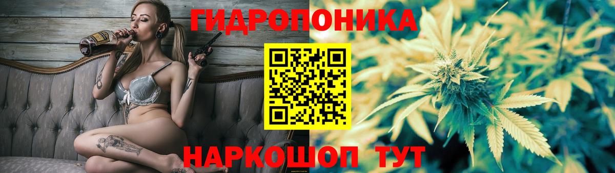 Гашиш Петровск
